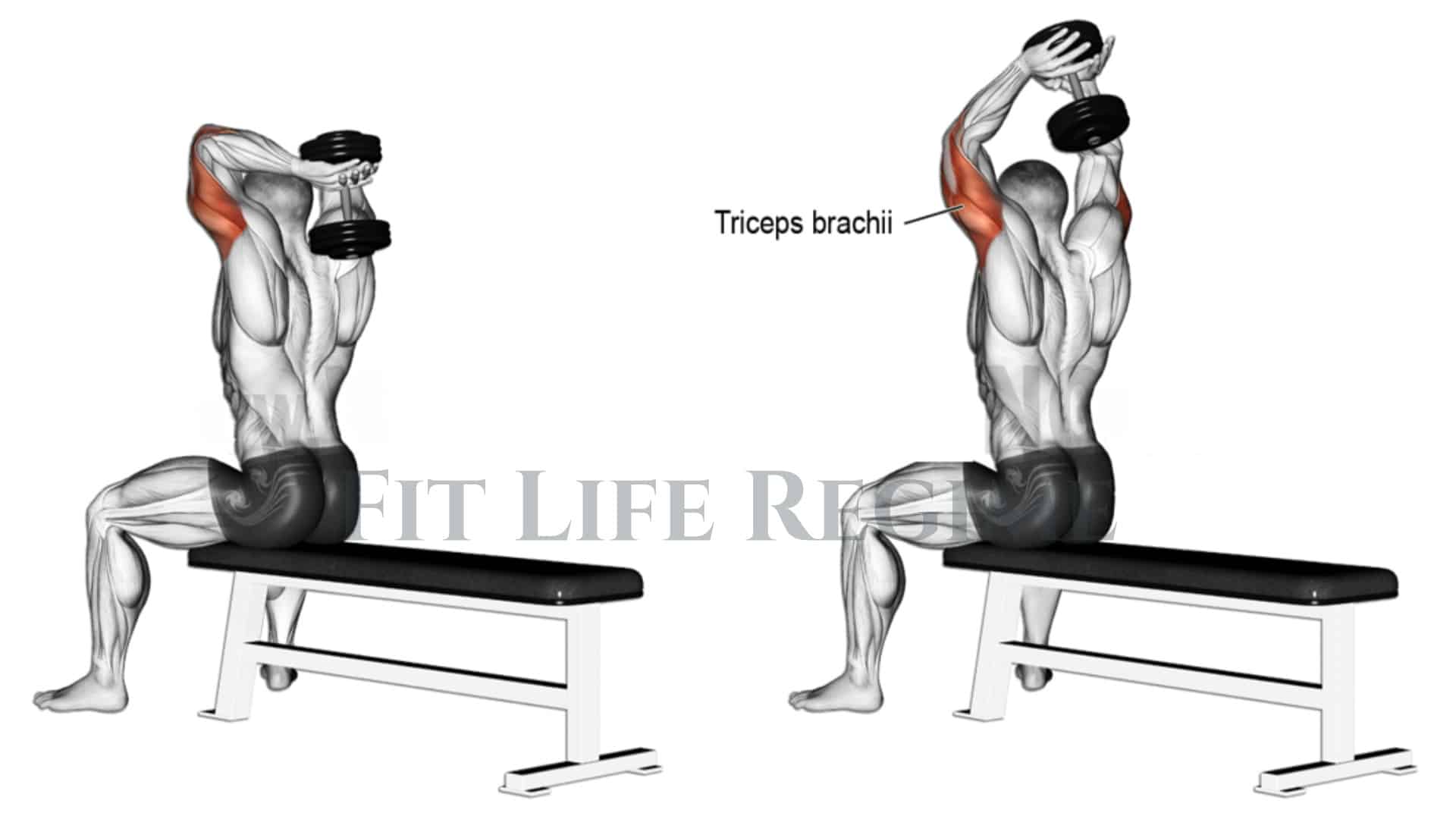 Seated Overhead Dumbbell Tricep Extension