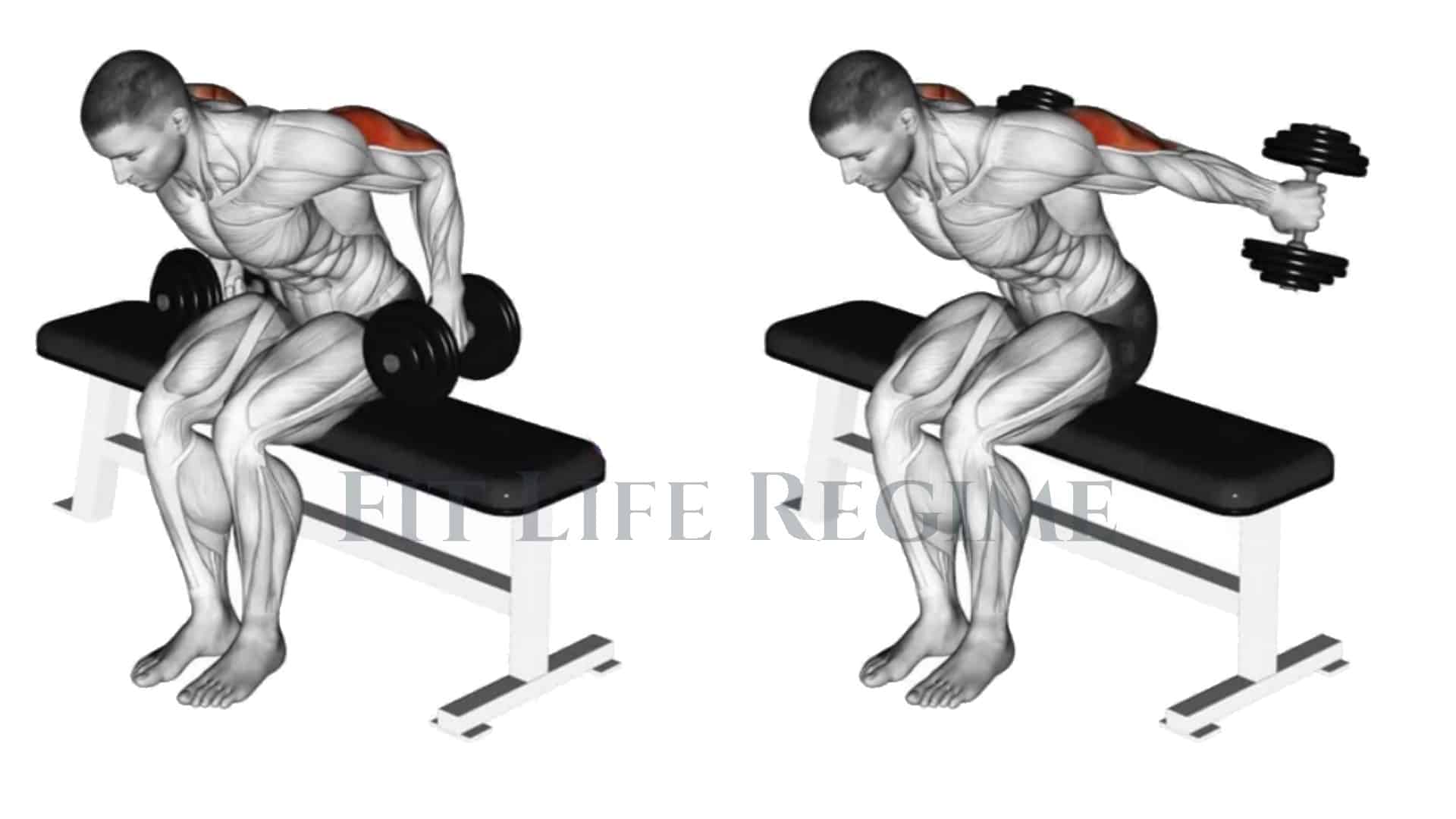 Seated Two Arm Dumbbell Kickback