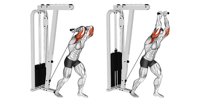 Straight Bar Overhead Cable Tricep Extension