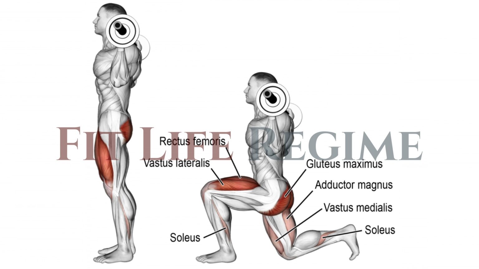 15 Best Barbell Leg Workout For Mass and Strength