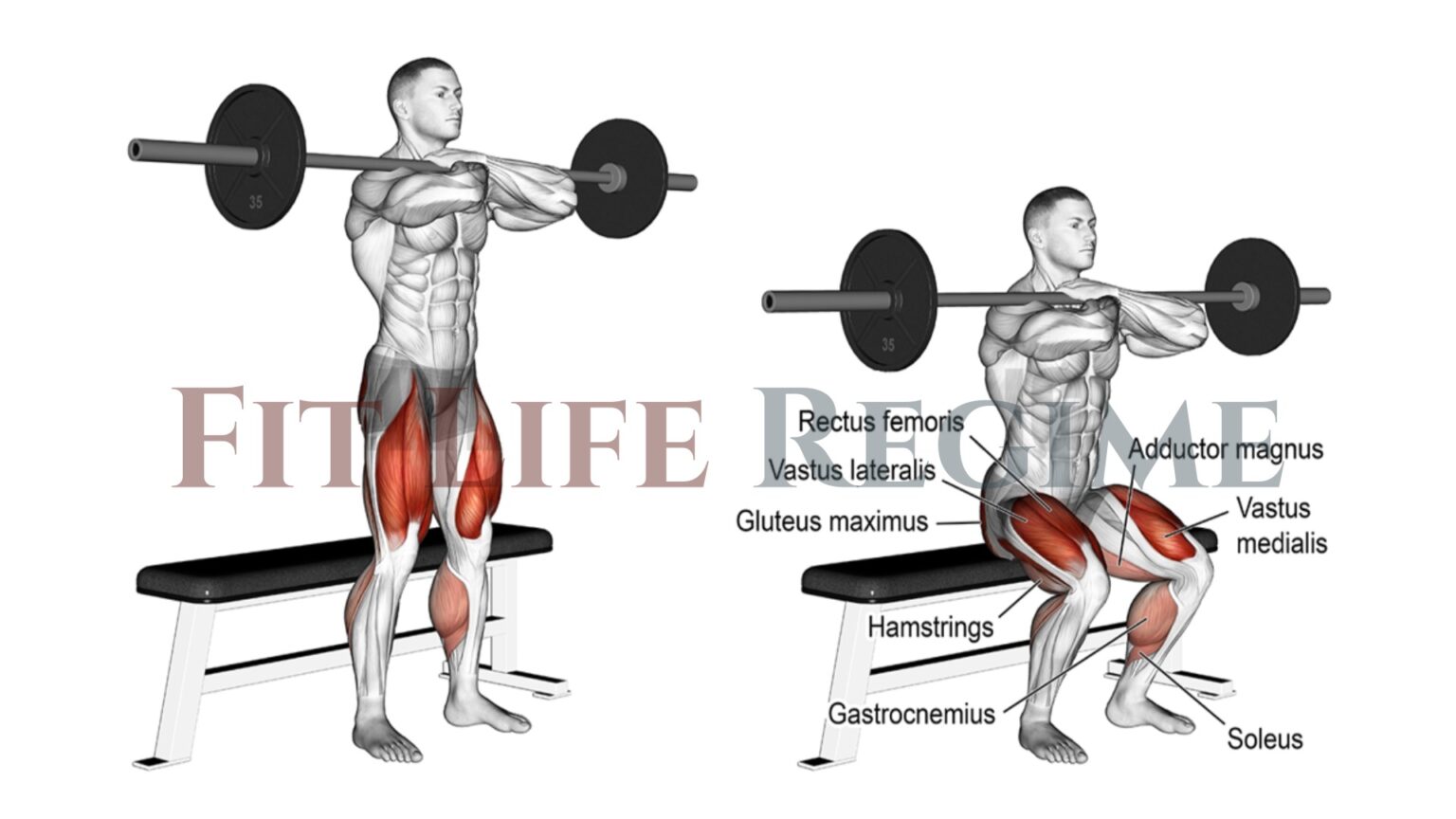 15 Best Barbell Leg Workout For Mass and Strength