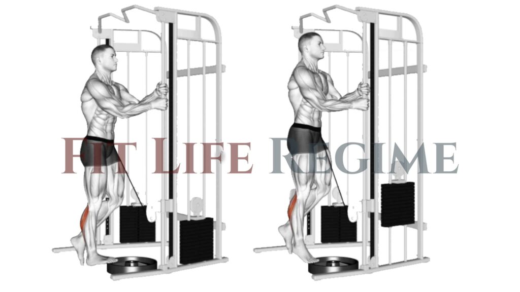 Cable Standing One Leg Calf Raise