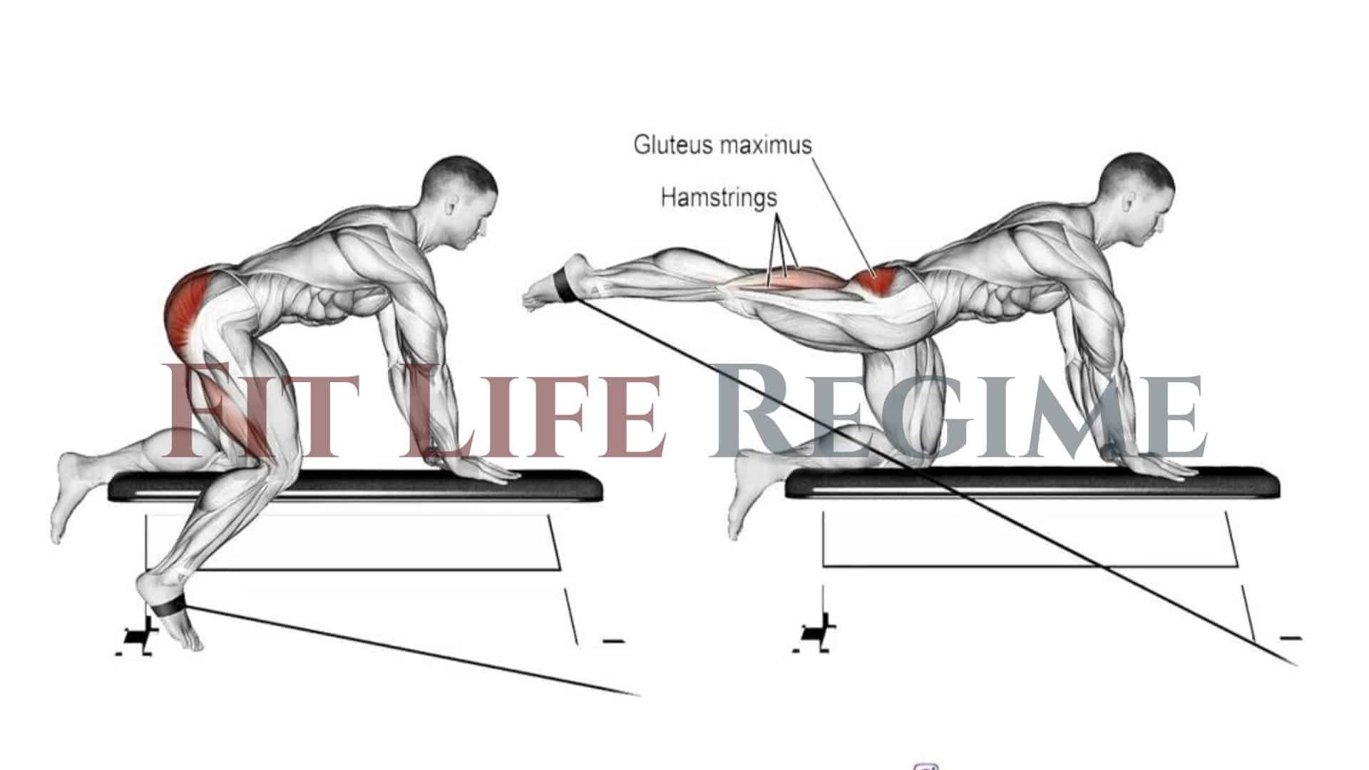 Kneeling Cable Hip Extension