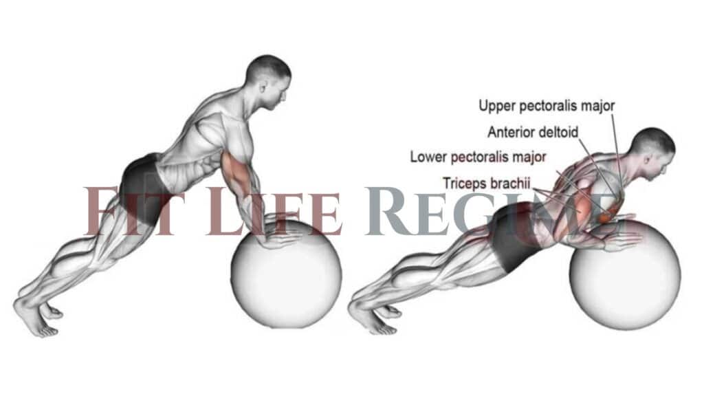 Stability Ball Push Up