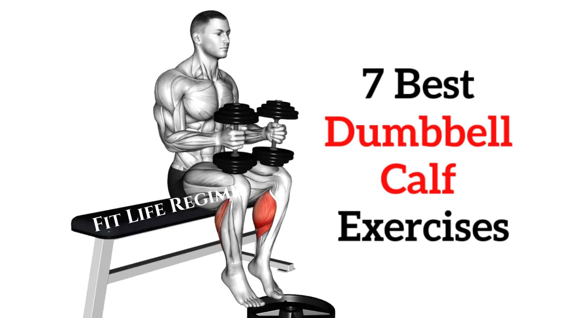 7 Dumbbell Calf Exercises & Workouts For Bigger Calves