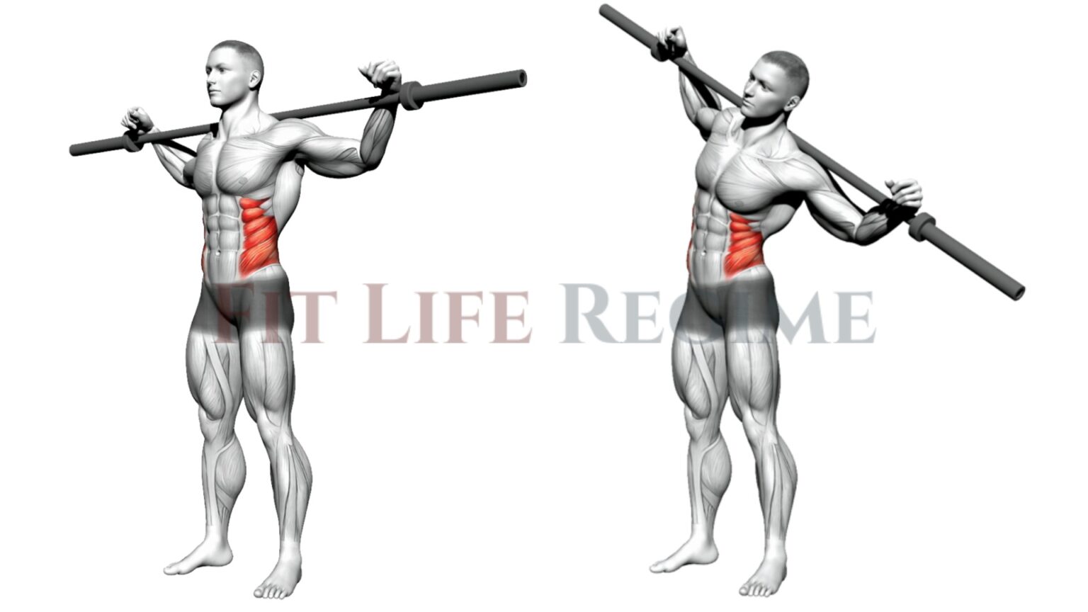 How To Do Barbell Side Bend & Its Benefits