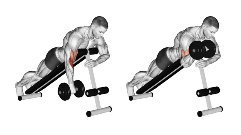 One Arm Dumbbell Spider Curl