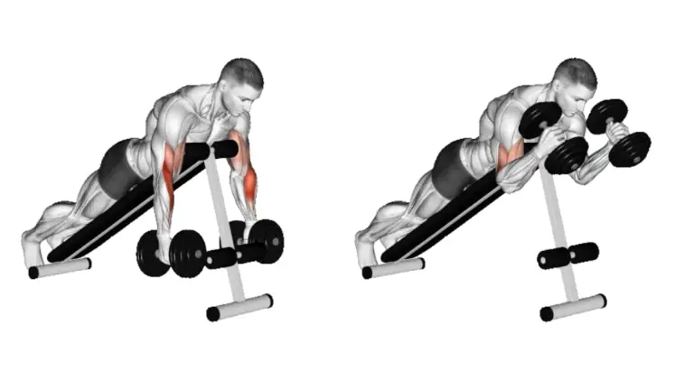 Dumbbell Prone Incline Hammer Curl.