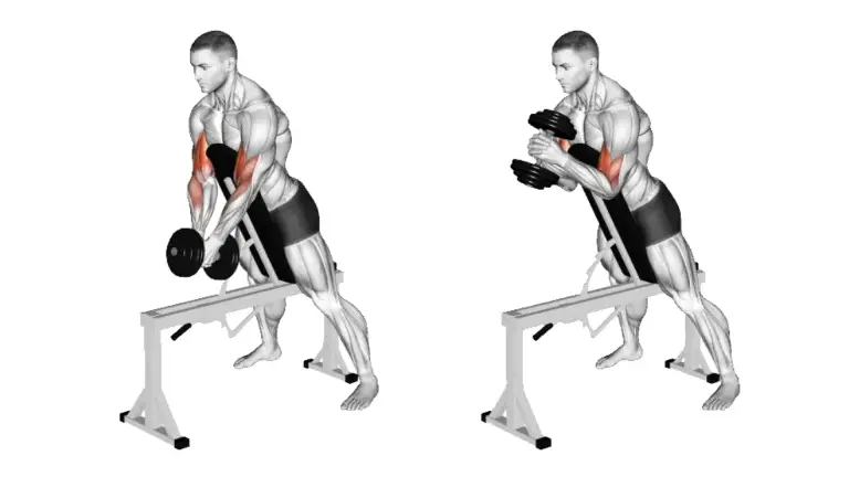 Dumbbell Standing Single Arm Spider Curl.