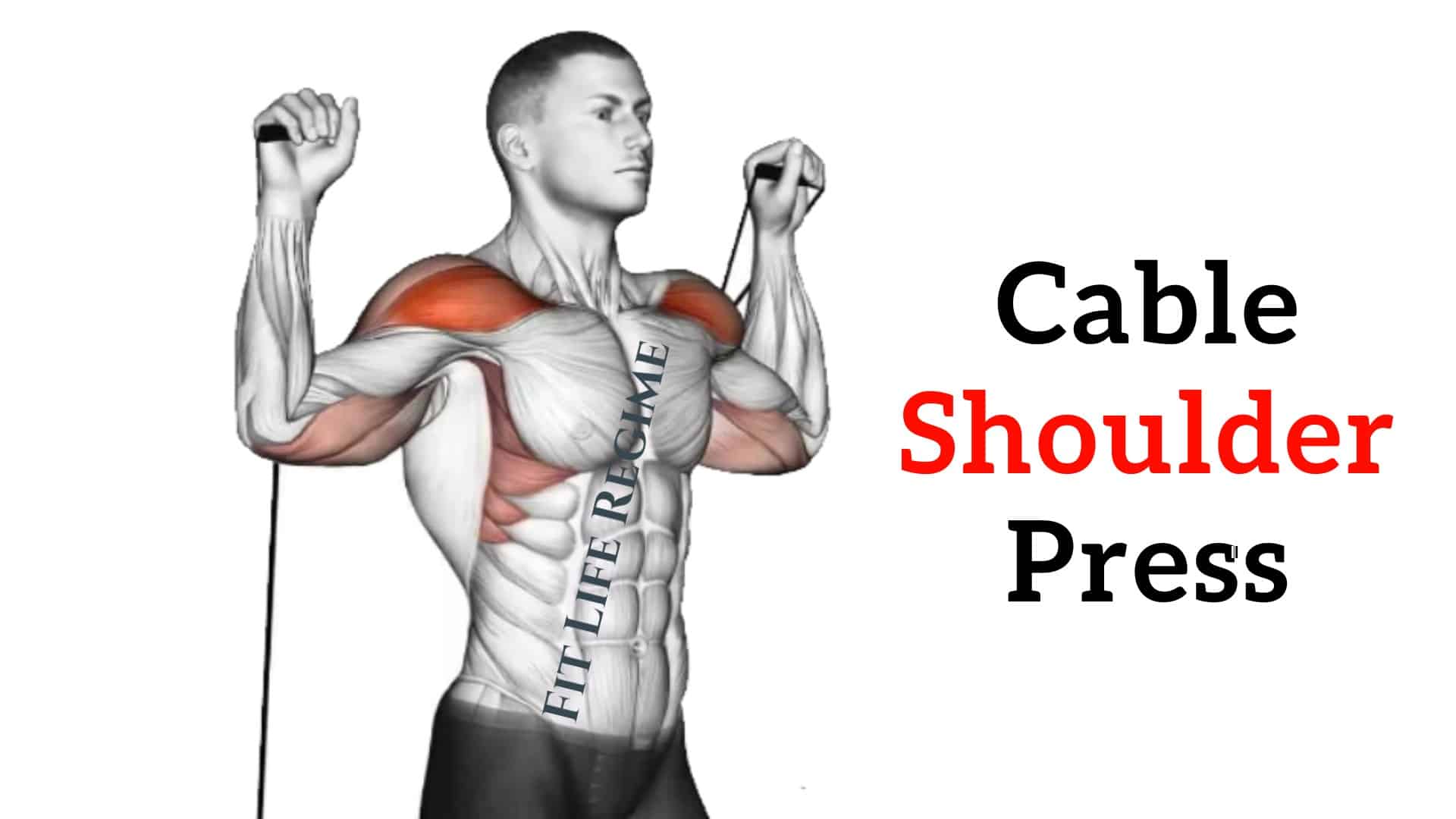 Cable Shoulder Press Cable Shoulder Press