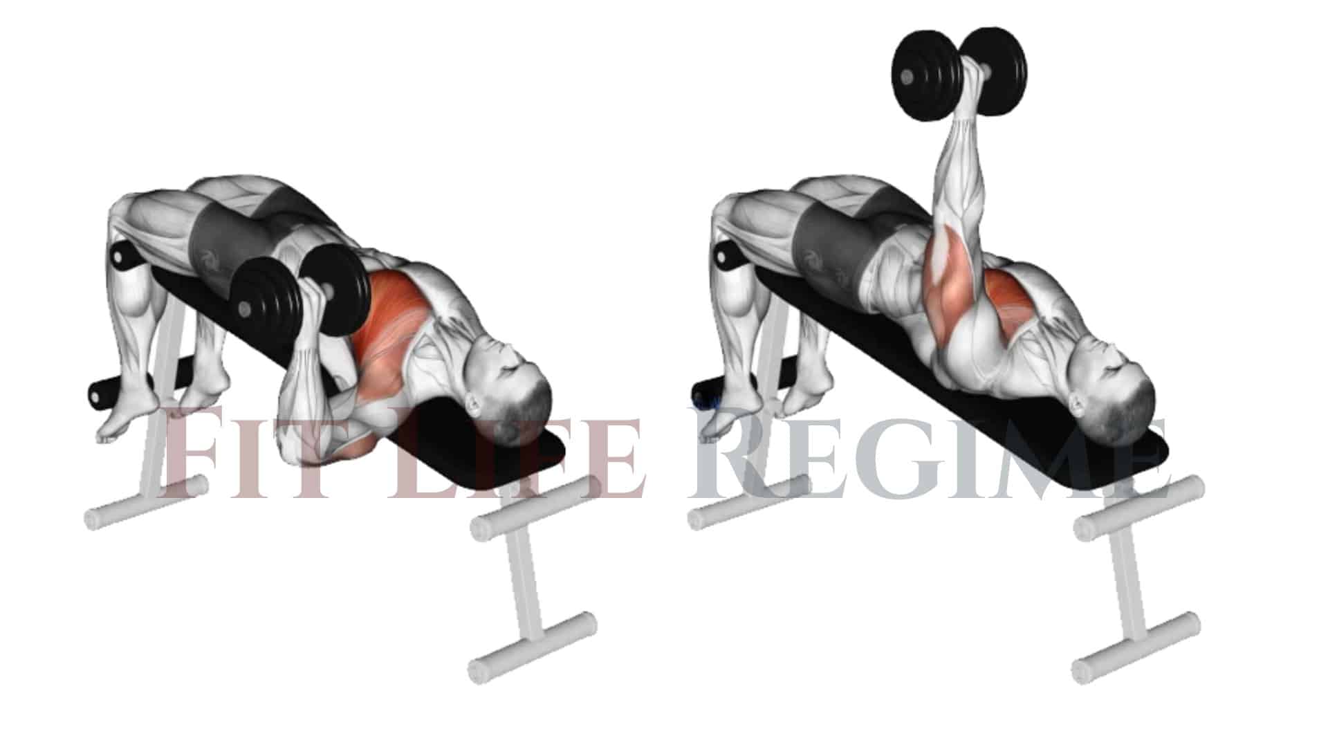 Dumbbell One Arm Decline Chest Press