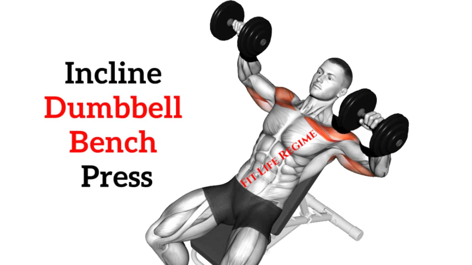What Are Incline Bench Press Do At Jose Cheung Blog What Are Incline Bench Press Do At Jose Cheung Blog