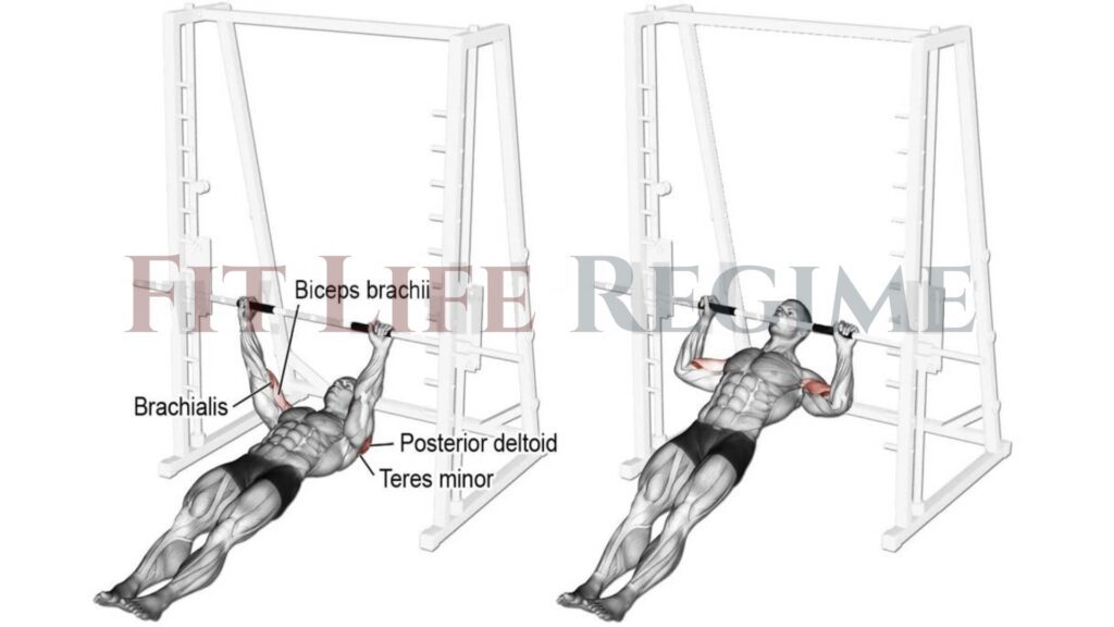Inverted rear delt row