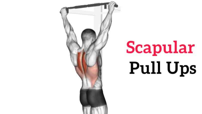 scapular pull ups