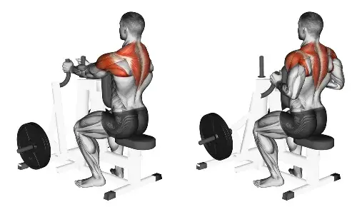Chest Supported Machine Row