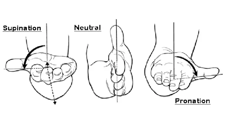 supination-neutral-and-pronation-Hand-Grip