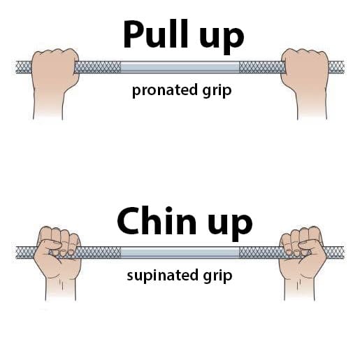 pull-up-vs-chin-up-grip