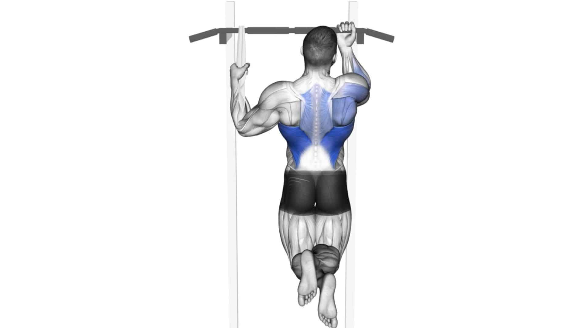 25 Different Types Of Pull Ups and Chin Ups (Variations)