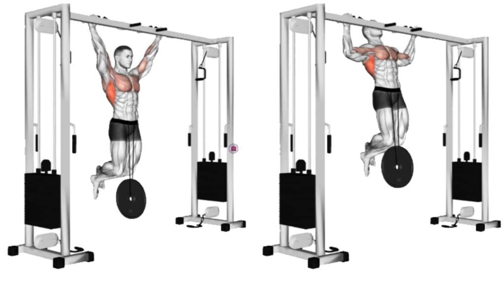 Weighted Pull-Ups And Chin Up