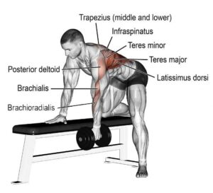 One Arm Dumbbell Row: Muscles Worked, How To Do And Tips