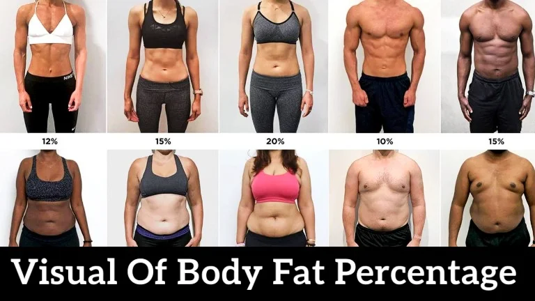 Understanding Body Fat Percentage and Its Importance for Fitness Understanding Body Fat Percentage and Its Importance for Fitness